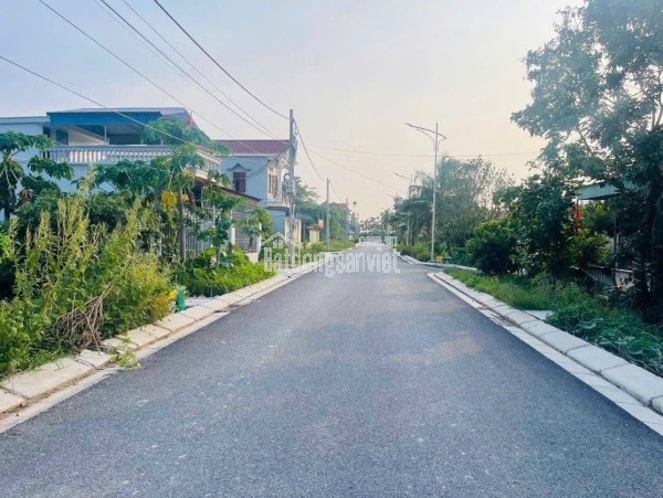 Bán đất khu đấu giá Đồng Rồi, xã Ngũ Đoan, Hải Phòng