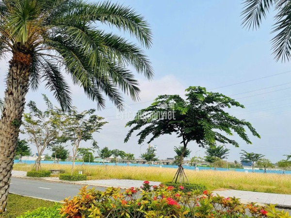BÁN LÔ ĐẤT NỀNGẤP CHO CON ĐI DU HỌC LIỀN KỀ ECOPARK 1,9TY 90M2 CÓ GỬI LỘC KHÁCH THIỆN CHÍ MUA NHANH