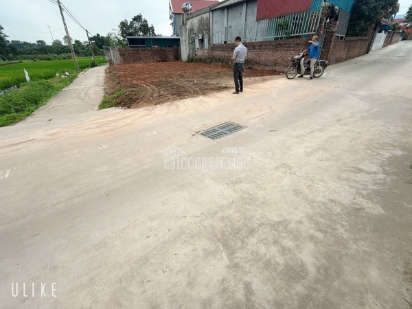 Chuyển Nhượng Lô Đất Đối Diện Nhà Văn Hóa thôn Tân Yên, Xã Hồng Kỳ, Sóc Sơn, Hà Nội.