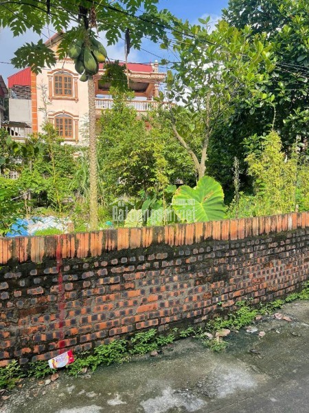 Bán nhà Hồng Tiến, Long Biên 36m, nhỉnh 5 tỷ