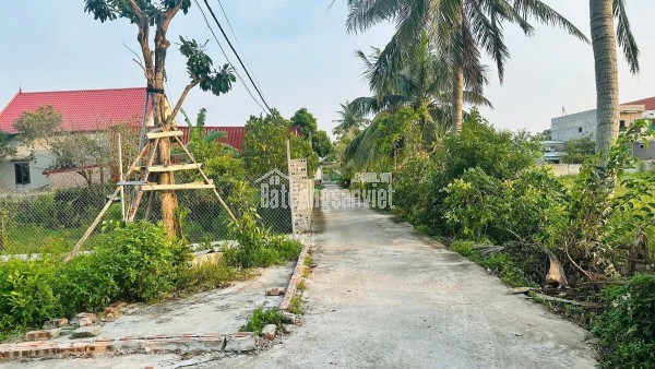 8xx Triệu Đất 73.2m2 MT 5.2m Bao Bìa Minh Tân Kiến Thụy LH 0567222555