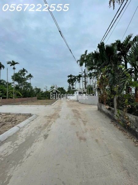 💰 SIÊU PHẨM ĐẤT TỔ 06 HOÀ NGHĨA – NGANG 6M – GIÁ 6XX TRIỆU!