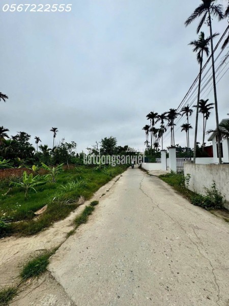 💰 SIÊU PHẨM ĐẤT TỔ 06 HOÀ NGHĨA – NGANG 6M – GIÁ 6XX TRIỆU!