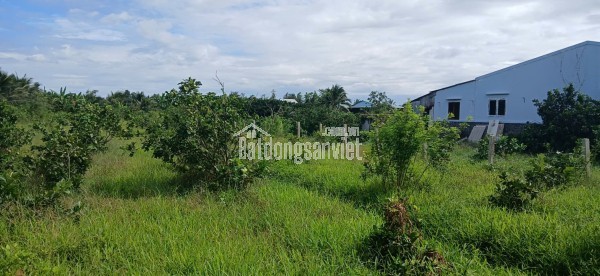 Lô đất trồng bưởi Lộ Xoài giáp ranh Mỹ Tho. Diện tích 1.700m2. Cách QL50 chỉ 1,5 km.