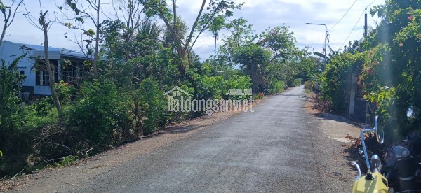 Lô đất trồng bưởi Lộ Xoài giáp ranh Mỹ Tho. Diện tích 1.700m2. Cách QL50 chỉ 1,5 km.