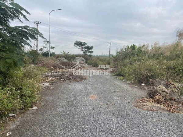 2.x tỷ 100m2 Đa Phúc Central Park Dương Kinh Zalo 0567222555