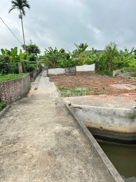 1.45 tỷ 65.5m2 Trung Nghĩa Đồ Sơn Zalo 0567222555