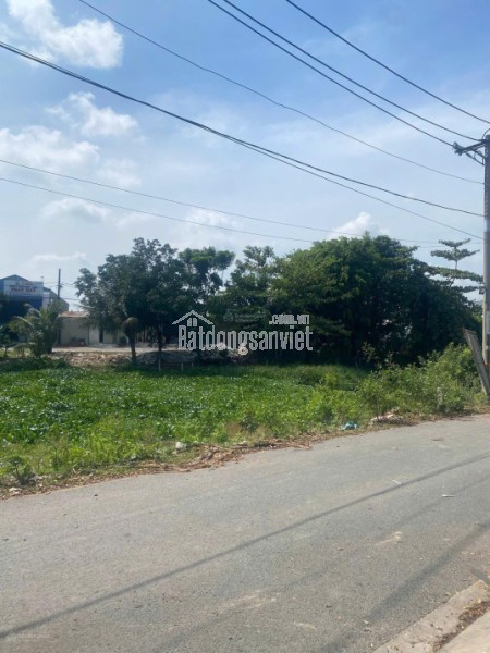 Chính chủ bán gấp chính chủ bán gấp lô đất 146.8m2 - MT Trần Hải Phụng, Bình Tân - Kẹt bank cắt lỗ
