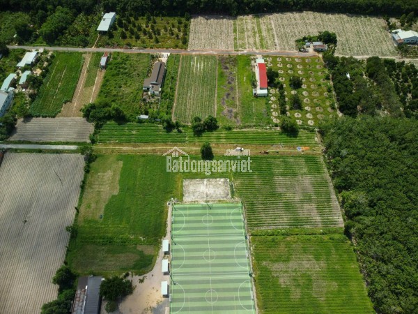 Bán 4000m2 đất đường Phan Bội Châu ngay thị trấn Tân Châu Tây Ninh