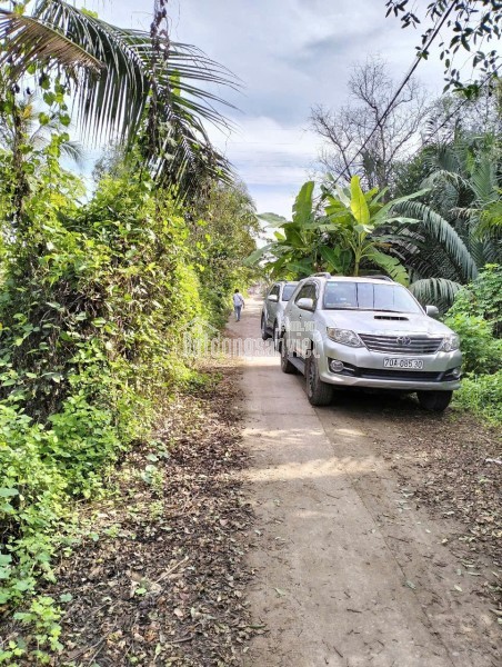 Trang trại chăn nuôi heo qui mô lớn 10 hécta