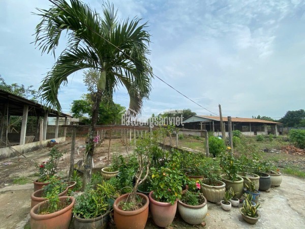 Bán đất tại Đức Nghĩa Đức Hòa Tây Ninh, giá hợp lý