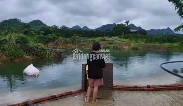 CHÍNH CHỦ GỬI BÁN LÔ ĐẤT GÓC CỰC ĐẸP – 740M² – MẶT TIỀN 52M – TRỤC CHÍNH XÃ CƯ YÊN – KINH DOANH &