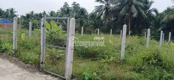 Bán rẻ gấp cặp 2 nền đất thổ cư liền kề. Ấp phước Thuận, xã Phước Thạnh, TP Mỹ Tho
