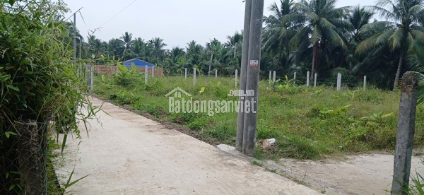 Bán rẻ gấp cặp 2 nền đất thổ cư liền kề. Ấp phước Thuận, xã Phước Thạnh, TP Mỹ Tho