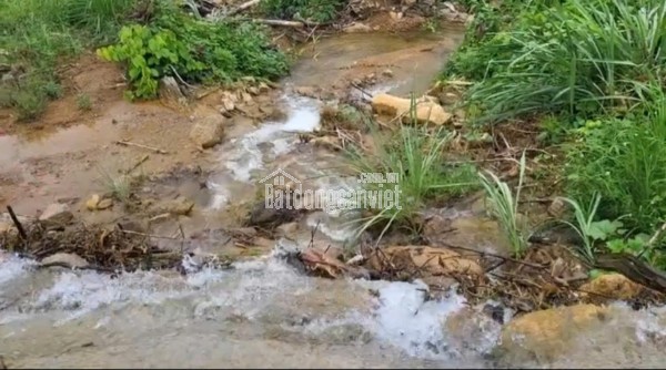 CHÍNH CHỦ CẦN BÁN  2,5 ha ĐẤT BÁM SUỐI VIEW SIÊU ĐEP TẠI LƯƠNG SƠN – PHÚ THỌ