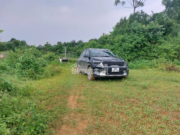 CHÍNH CHỦ CẦN BÁN  2,5 ha ĐẤT BÁM SUỐI VIEW SIÊU ĐEP TẠI LƯƠNG SƠN – PHÚ THỌ