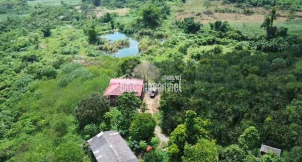 CHÍNH CHỦ CẦN BÁN  2,5 ha ĐẤT BÁM SUỐI VIEW SIÊU ĐEP TẠI LƯƠNG SƠN – PHÚ THỌ