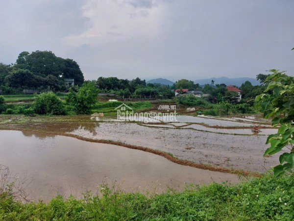 CHÍNH CHỦ CẦN BÁN  2,5 ha ĐẤT BÁM SUỐI VIEW SIÊU ĐEP TẠI LƯƠNG SƠN – PHÚ THỌ