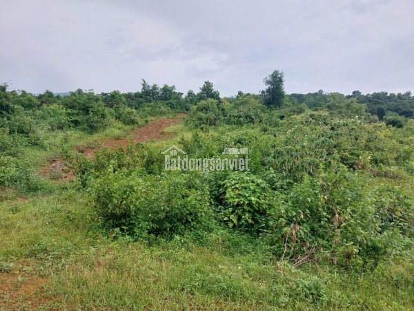 CHÍNH CHỦ CẦN BÁN  2,5 ha ĐẤT BÁM SUỐI VIEW SIÊU ĐEP TẠI LƯƠNG SƠN – PHÚ THỌ