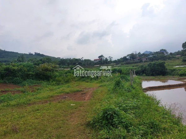 CHÍNH CHỦ CẦN BÁN  2,5 ha ĐẤT BÁM SUỐI VIEW SIÊU ĐEP TẠI LƯƠNG SƠN – PHÚ THỌ