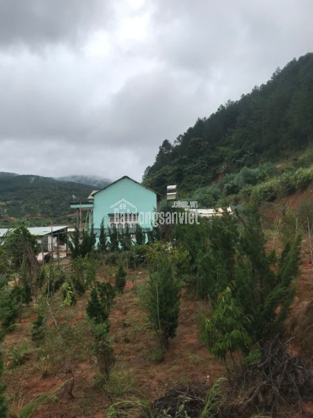 CHO THUÊ VILLA PHƯỜNG 8 ĐÀ LẠT - View đẹp - giá 12tr/tháng