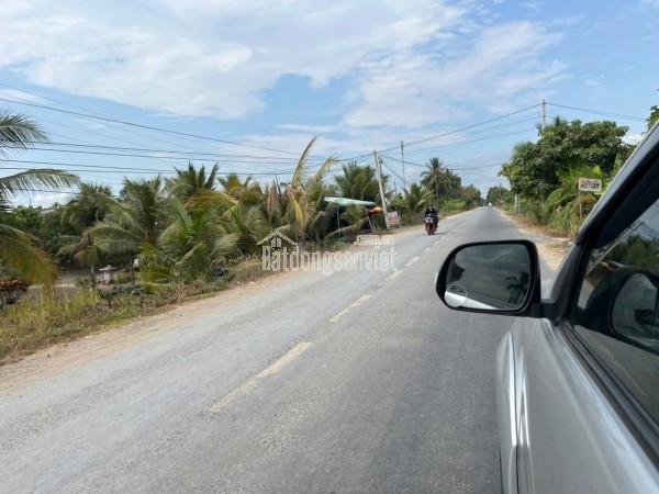 Trang trại chăn nuôi heo qui mô lớn 10 hécta giá thương lượng 155 tỷ