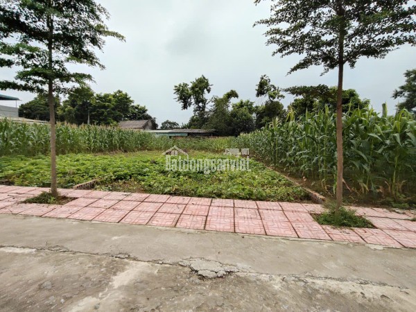 BĐS SIÊU RẺ TẠI CAO DƯƠNG , LƯƠNG SƠN , HÒA BÌNH CHỈ HONE 2TR/M2