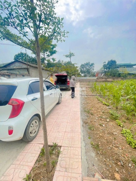 BĐS SIÊU RẺ TẠI CAO DƯƠNG , LƯƠNG SƠN , HÒA BÌNH CHỈ HONE 2TR/M2