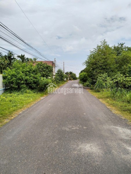 Trang trại chăn nuôi heo qui mô lớn 10 hécta giá 155 tỷ có thương lượng