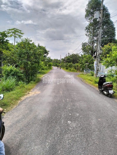 Trang trại chăn nuôi heo qui mô lớn 10 hécta giá 155 tỷ có thương lượng