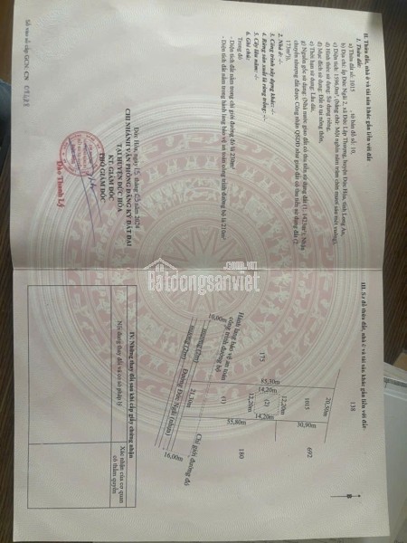 Trang trại chăn nuôi heo qui mô lớn 10 hécta giá 155 tỷ có thương lượng