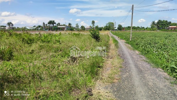 Bán gấp lô đất lúa chuyển thổ không dính quy hoạch giá 2,7 tỷ