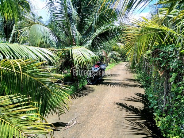 Bán KHU ĐẤT NHÀ VƯỜN rộng 4.300m3. ấp Long Hòa A, Phường Đạo Thạnh (Mỹ Tho) Tỉnh Đồng Tháp