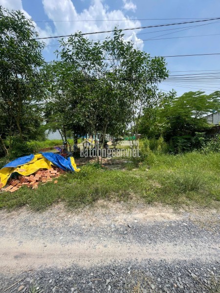 Bán đất ấp Thanh Hoà, Xã Thanh Điền, Châu Thành, Tây Ninh