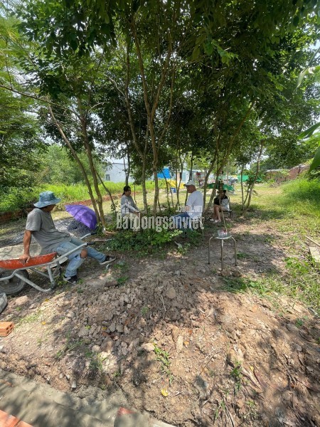 Bán đất ấp Thanh Hoà, Xã Thanh Điền, Châu Thành, Tây Ninh