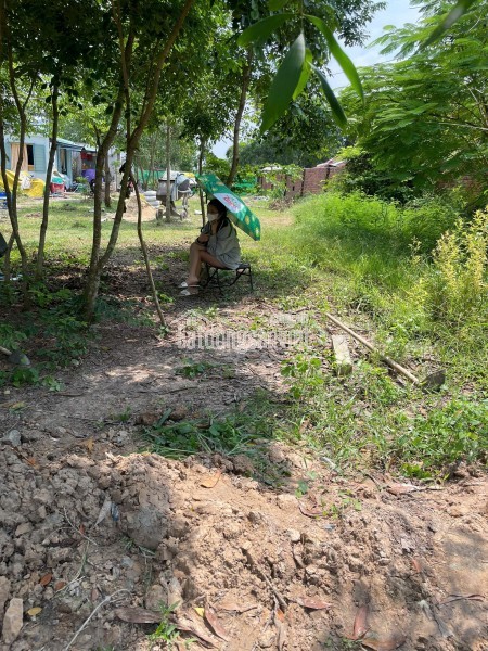 Bán đất ấp Thanh Hoà, Xã Thanh Điền, Châu Thành, Tây Ninh