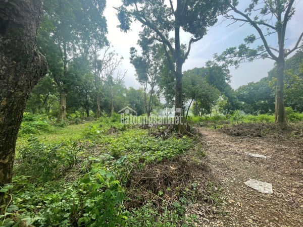 SIÊU PHẨM NGHỈ DƯỠNG VEN HỒ ĐỒNG SƯƠNG LƯƠNG SƠN ,HÒA BÌNH – GIÁ CỰC TỐT CHO NHÀ ĐẦU TƯ