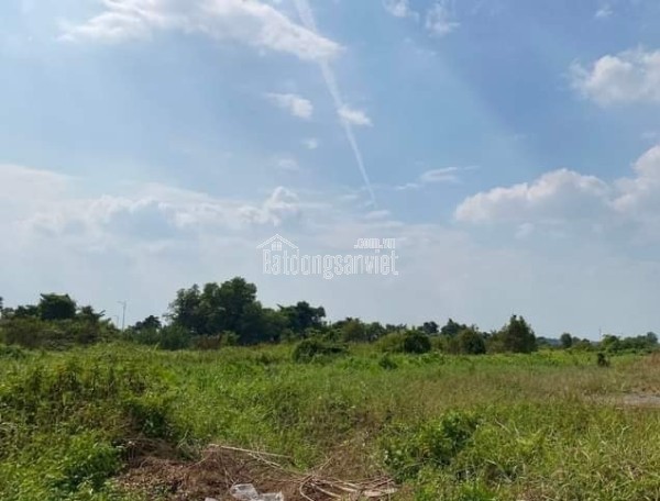 Truông Mít, Hàng hiếm 1.5ha đẹp như hoa hậu mặt tiền dt784 ,Truông Mít,Dương Minh Châu