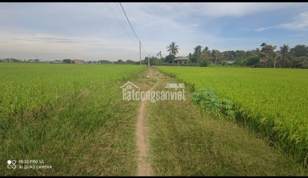 Bán gấp lô đất thổ lúa gần Quốc Lộ 50B hạ giá 6 tỷ