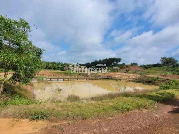 CHÍNH CHỦ CẦN BÁN ĐẤT XÃO ĐIỀU, ẤP 2, LỘC ĐIỀN, LỘC NINH, BÌNH PHƯỚC