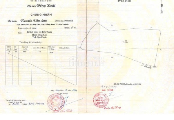 CHÍNH CHỦ CẦN BÁN ĐẤT XÃO ĐIỀU, ẤP 2, LỘC ĐIỀN, LỘC NINH, BÌNH PHƯỚC
