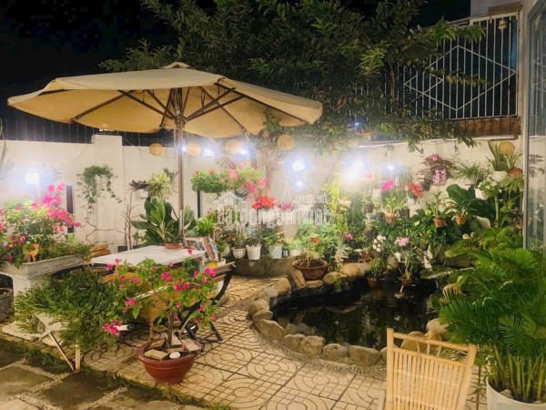 🌸 LÔ GÓC ĐẸP – Gói 𝟖 Mỹ 𝐆𝐢𝐚, Nha Trang