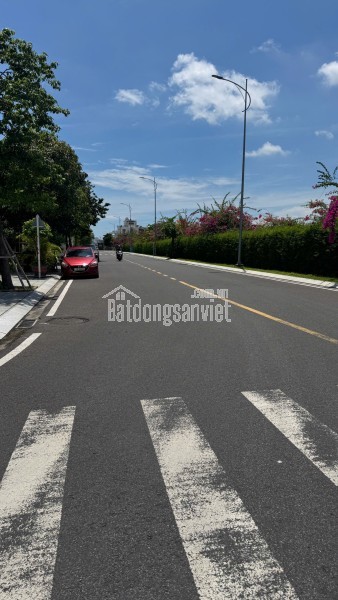 🌸 LÔ GÓC ĐẸP – Gói 𝟖 Mỹ 𝐆𝐢𝐚, Nha Trang
