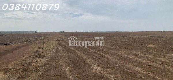 SANG NHƯỢNG 240HA ĐỒNG BÌNH PHƯỚC, 72 TỶ.