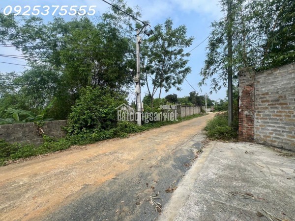 Siêu phẩm đất đẹp vuông như bánh chưng, giá rẻ tại Phú Mãn, Quốc Oai