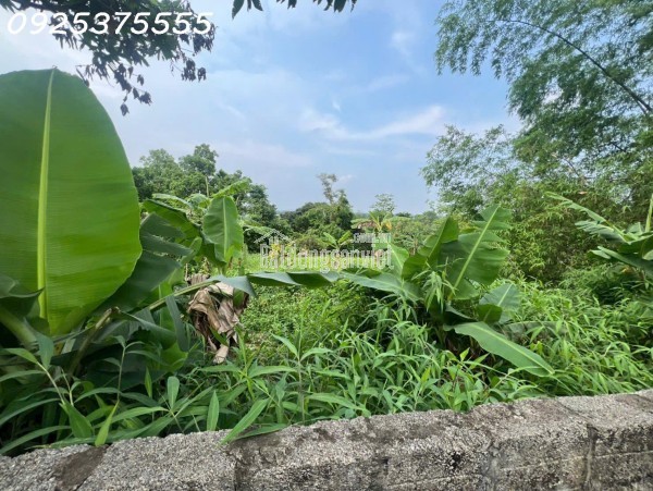 Siêu phẩm đất đẹp vuông như bánh chưng, giá rẻ tại Phú Mãn, Quốc Oai
