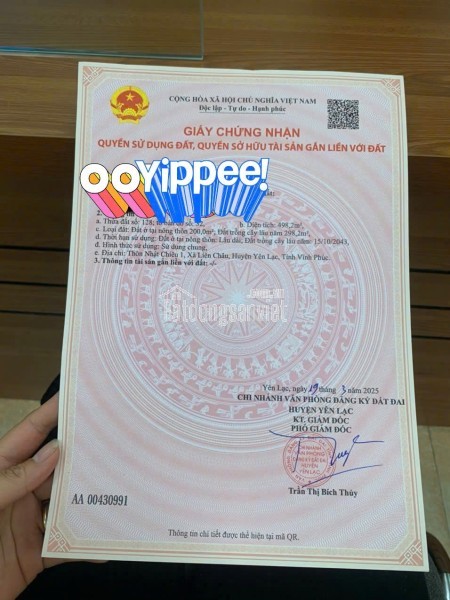 CHÍNH CHỦ BÁN ĐẤT TẠI HUYỆN YÊN LẠC, VĨNH PHÚC
