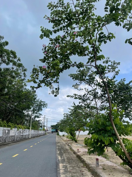 Phước Hòa - Phường Tân Phước – TP.HCM (sáp nhập)