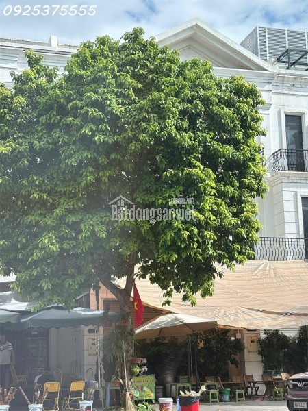 Shophouse rẻ nhất Vinhomes Ocean Park 1, Gia Lâm, Hà Nội. MTG