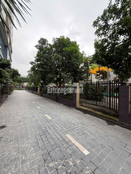 Mảnh Đất Vàng DT 1112m2, Trung Tâm Quận Thanh Xuân Mặt Phố Vũ Tông Phan, Lô Góc, Thông Số Đẹp,